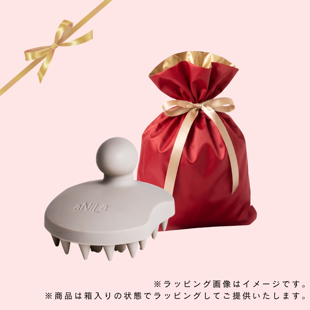 【ギフト】aNiLa メディカルスカルプブラシ